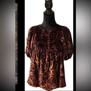 Anthropology Velvet Top